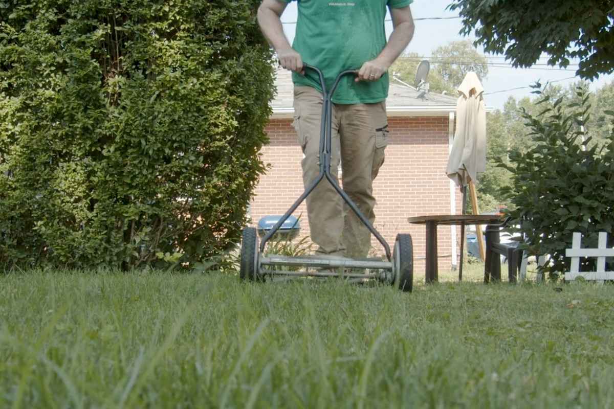 muškarac kosi travu